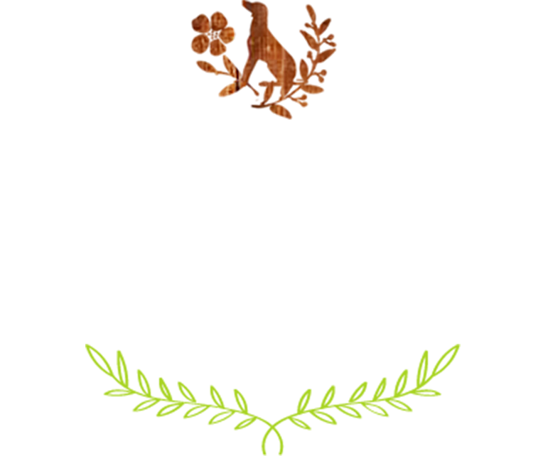 愛犬と軽井沢旅 Refresh Essential Resort リフレッシュエッセンシャルリゾート IN  軽井沢